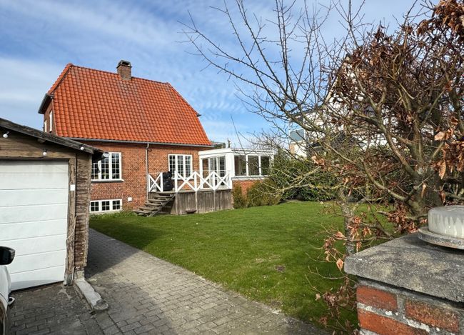 Bøgehøj